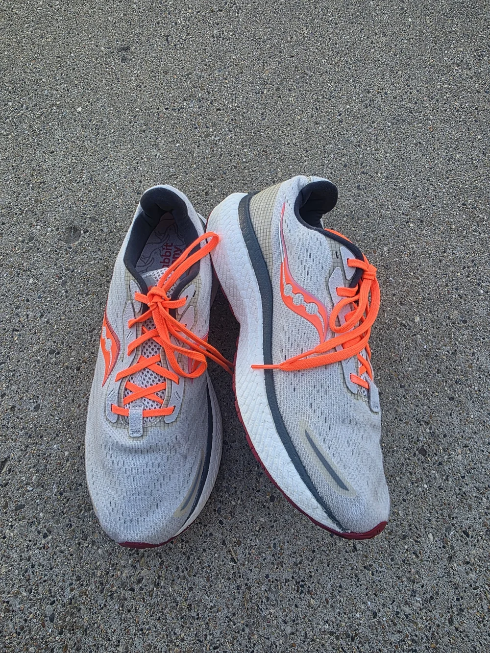 Saucony  Sneaker Women Size 10